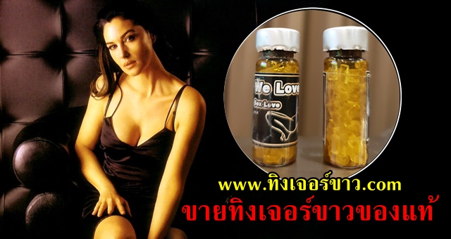 ขายทิงเจอร์ขาวเชียงใหม่